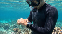 4 Best Dive Watches for Snorkeling in 2026